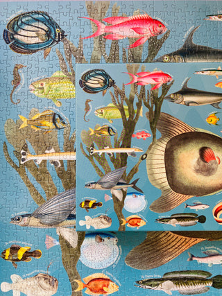 Exotische Fische, 1000-teiliges Vintage-Puzzle von Penny Puzzle