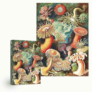Sea Anemones 1000 piece vintage puzzle from Penny Puzzle