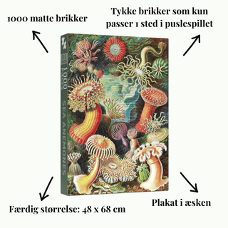 Sea Anemones 1000 piece vintage puzzle from Penny Puzzle