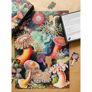 Sea Anemones 1000 piece vintage puzzle from Penny Puzzle