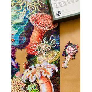 Sea Anemones 1000 piece vintage puzzle from Penny Puzzle