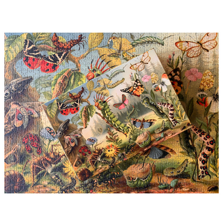 Wonders of Nature 1000 piece puzzle from Penny Puzzle 
