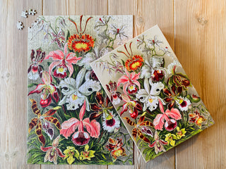 Orchids 500 Teile Vintage-Puzzle von Penny Puzzle