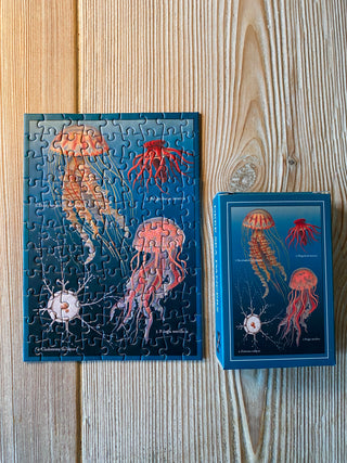 99-teiliges Mini-Puzzle „Deep Sea Dancers“ von Penny Puzzle